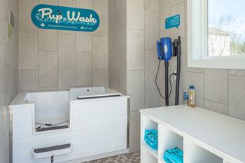 Pet Wash Station